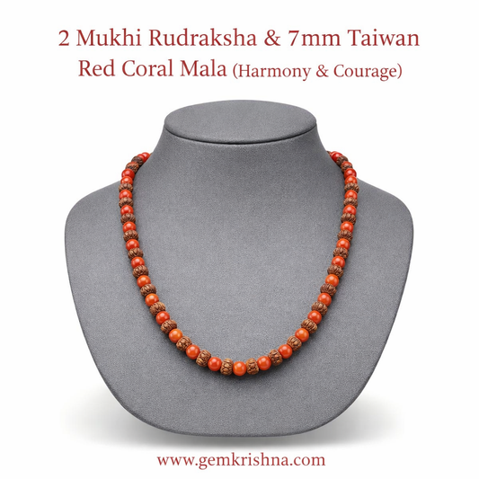 2 Mukhi Rudraksha & 7mm Taiwan Red Coral Jaap Mala (Harmony & Courage) premium GemKrishna product cover