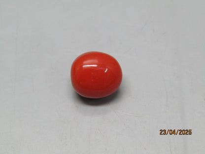 Natural Coral 6.74 Ct Japani Moonga Report No. CSP0017431