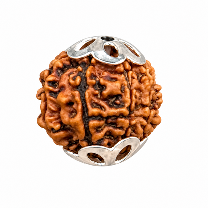 925 silver petal bead caps, large, on a 14–18 mm Rudraksha