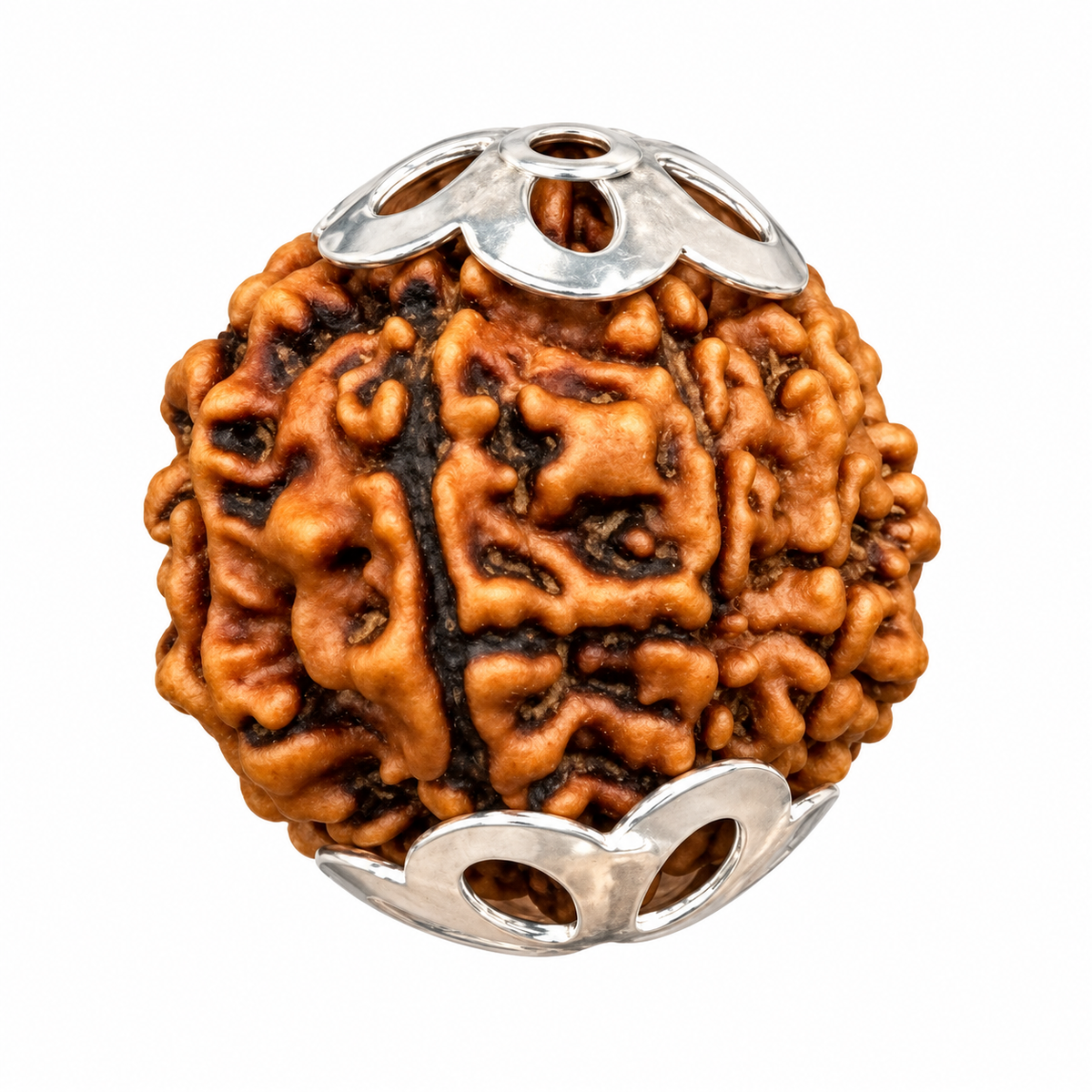 925 silver petal bead caps, extra large, on a Rudraksha