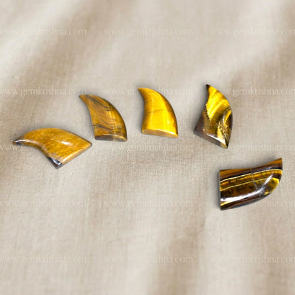 Tiger Eye Claw Nail Stone (Protection and Confidence)