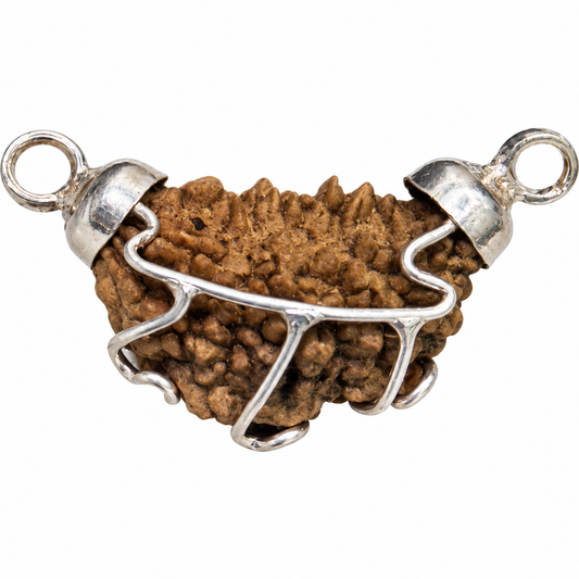 1 Mukhi Kaju Rudraksha (Meditation & Spiritual Focus) | GemKrishna