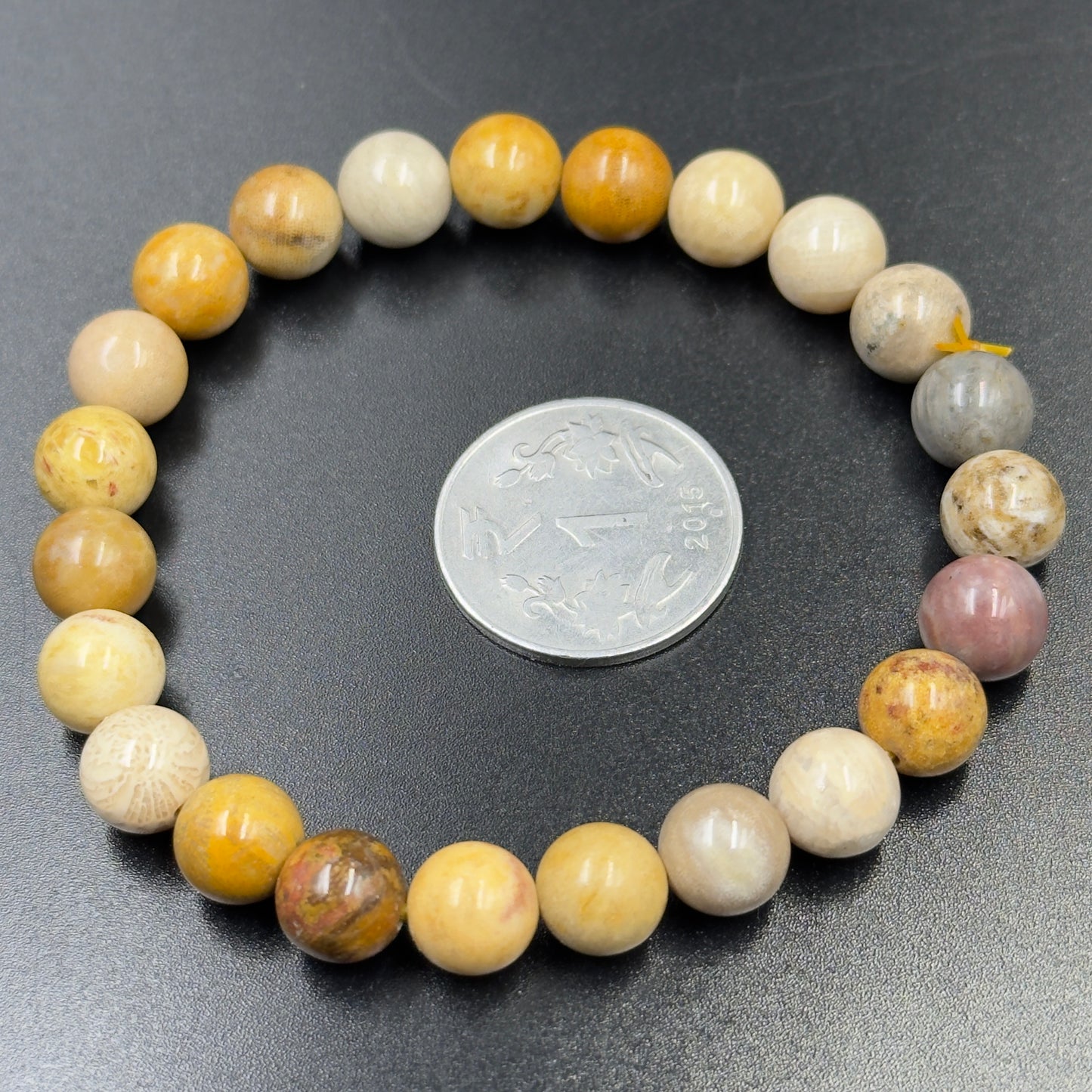 Firewood Fossil Bracelet | Ancient Strength and Warmth | Best Quality | 100% Natural