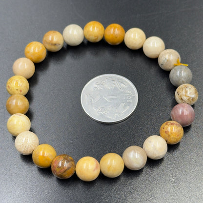 Firewood Fossil Bracelet | Ancient Strength and Warmth | Best Quality | 100% Natural