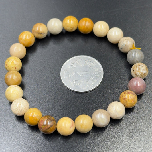 Firewood Fossil Bracelet | Ancient Strength and Warmth | Best Quality | 100% Natural