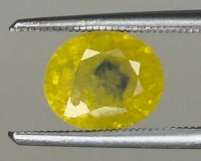 Bi-Color Yellow Sapphire (Pitambari) – 3.29 Carat Oval Cut, Heated | Gemkrishna product video 1