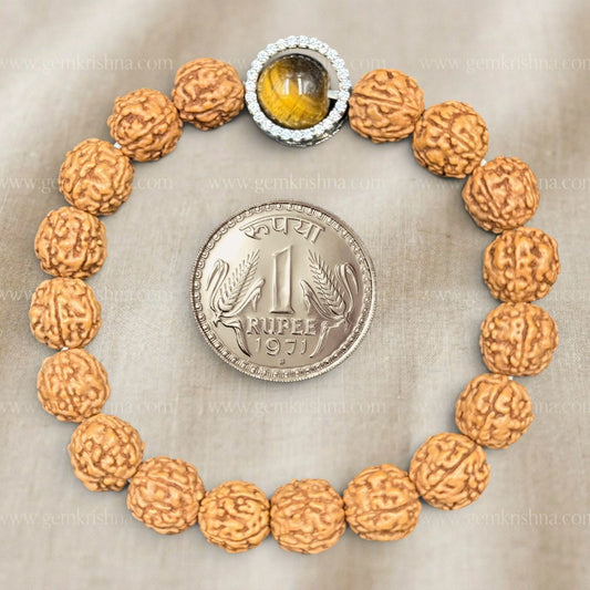 Close-up front view of 5 Mukhi rudraksh and tiger eye bracelet with metal halo