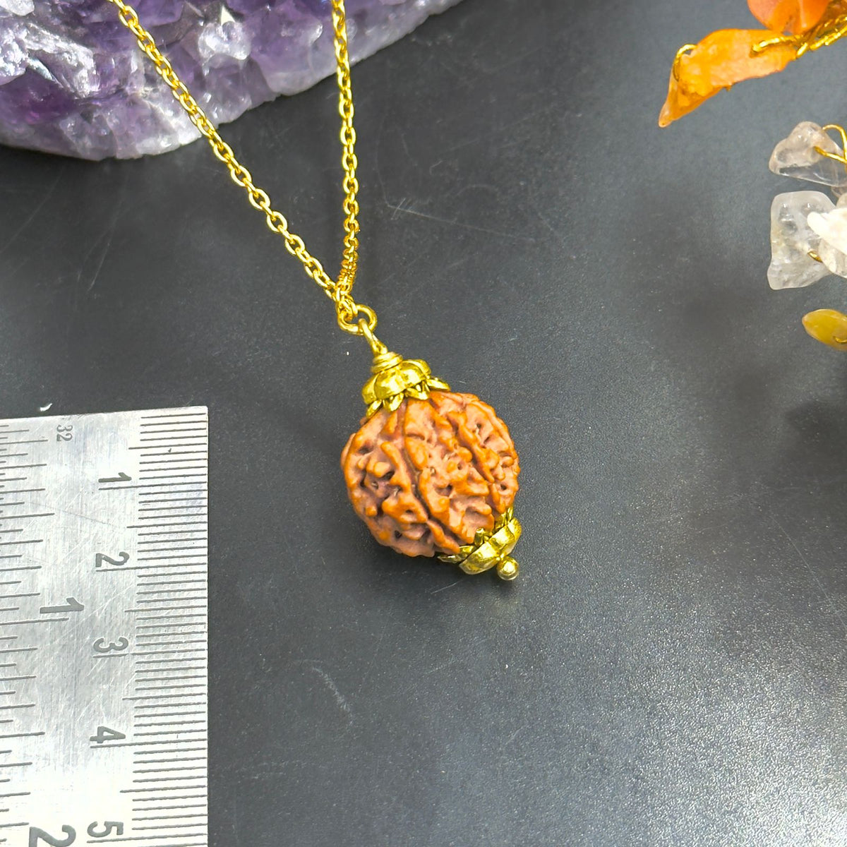 7 Mukhi Nepali Rudraksha with German Silver Capping and 4 Gram (15 Inch) Chain | Gemkrishna