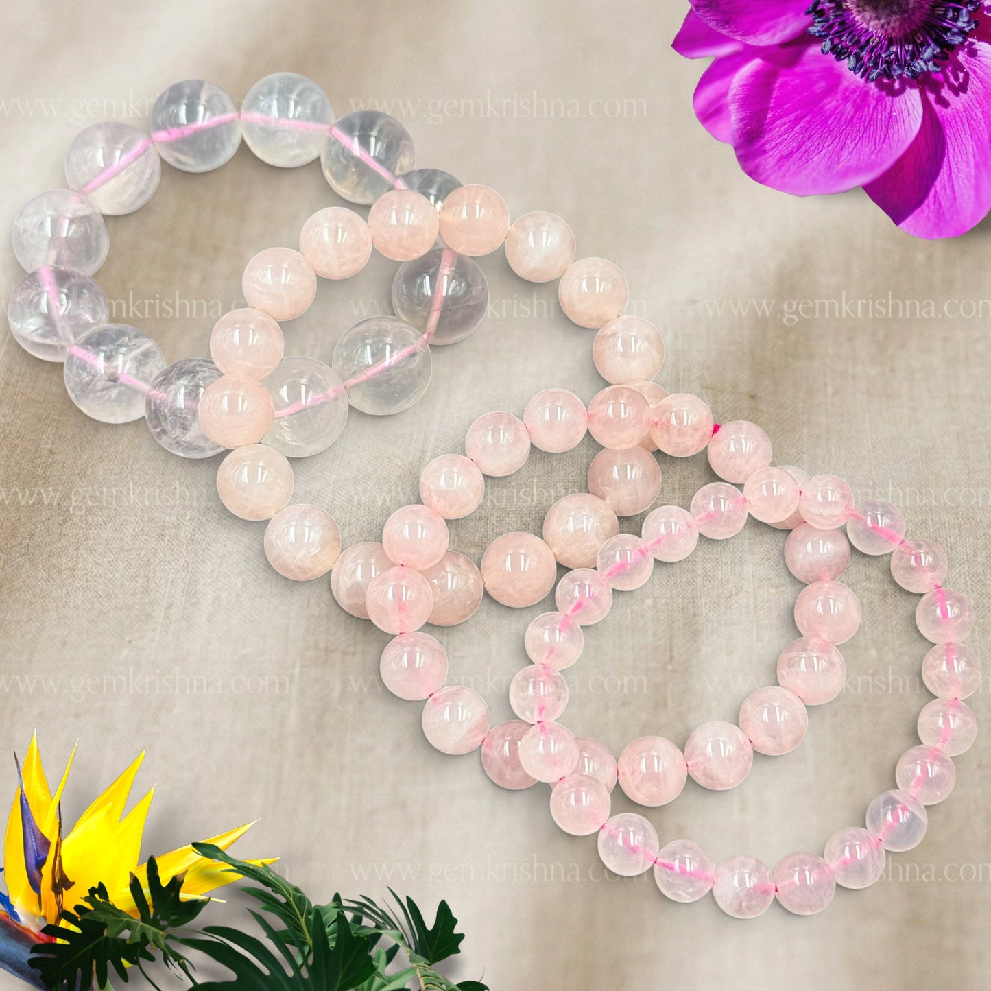 Rose Quartz Bracelet (Love and Emotional Healing)