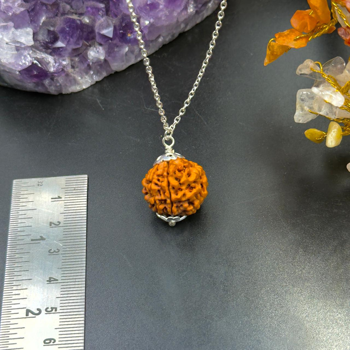 7 Mukhi Nepali Rudraksha with German Silver Capping and 4 Gram (15 Inch) Chain | Gemkrishna