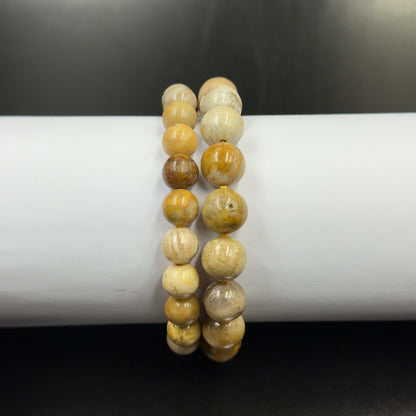 Firewood Fossil Bracelet | Ancient Strength and Warmth | Best Quality | 100% Natural