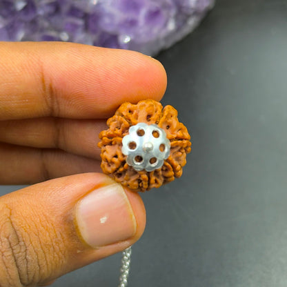 7 Mukhi Nepali Rudraksha with German Silver Capping and 4 Gram (15 Inch) Chain | Gemkrishna