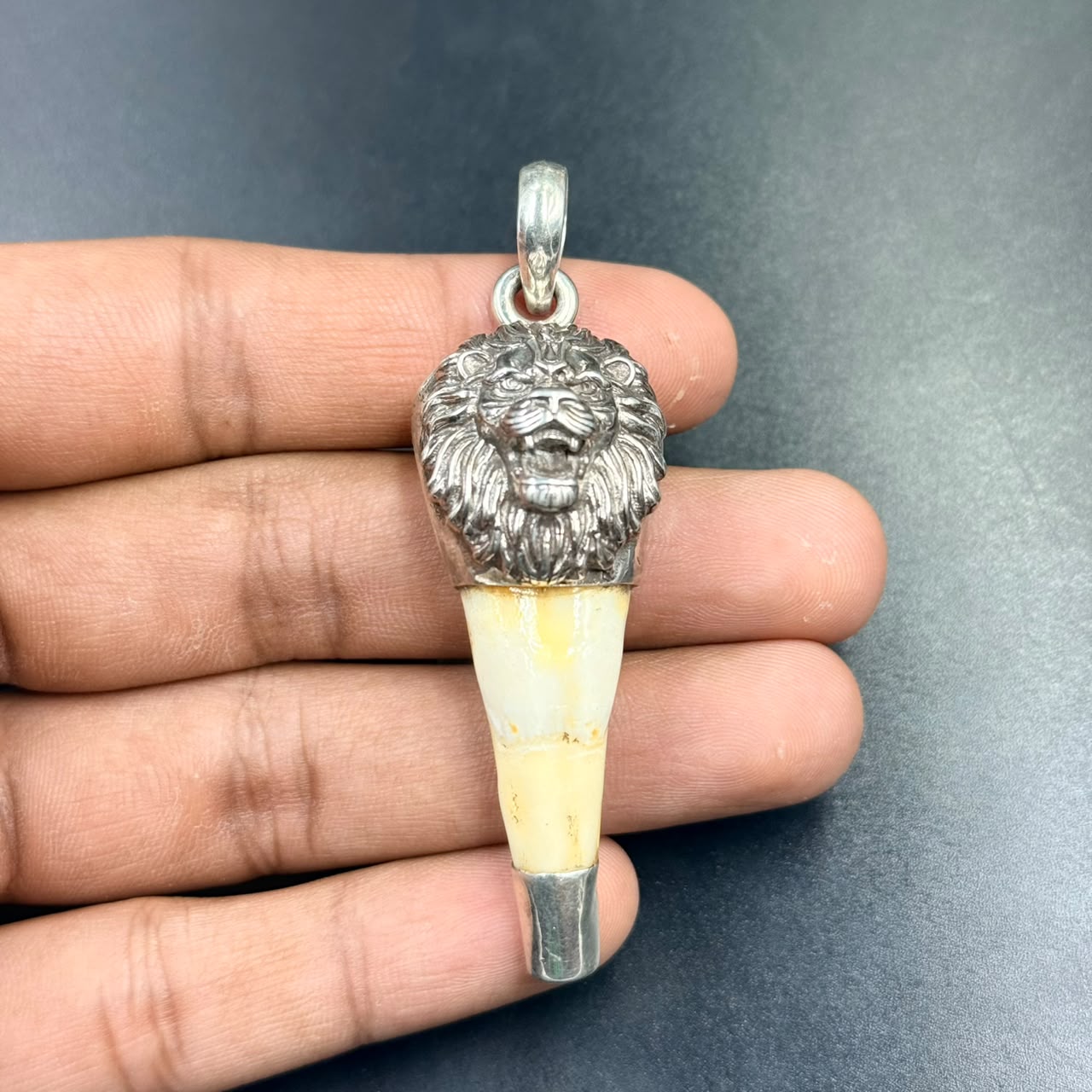 Hand holding FAUX 925 Silver Lion Teeth Locket with detailed lion head and tooth-shaped pendant