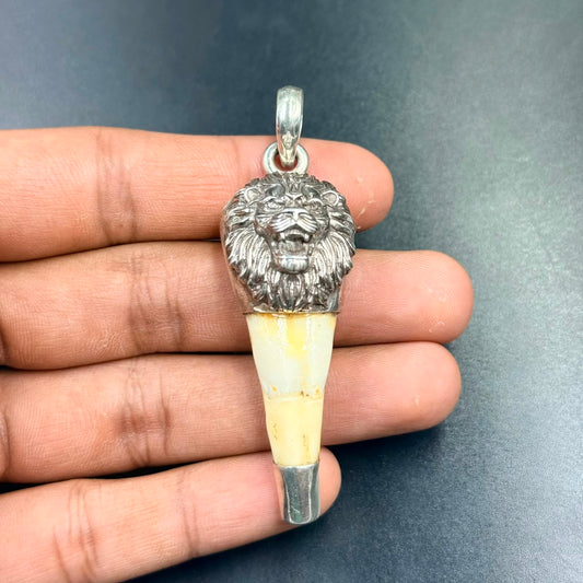Hand holding FAUX 925 Silver Lion Teeth Locket with detailed lion head and tooth-shaped pendant