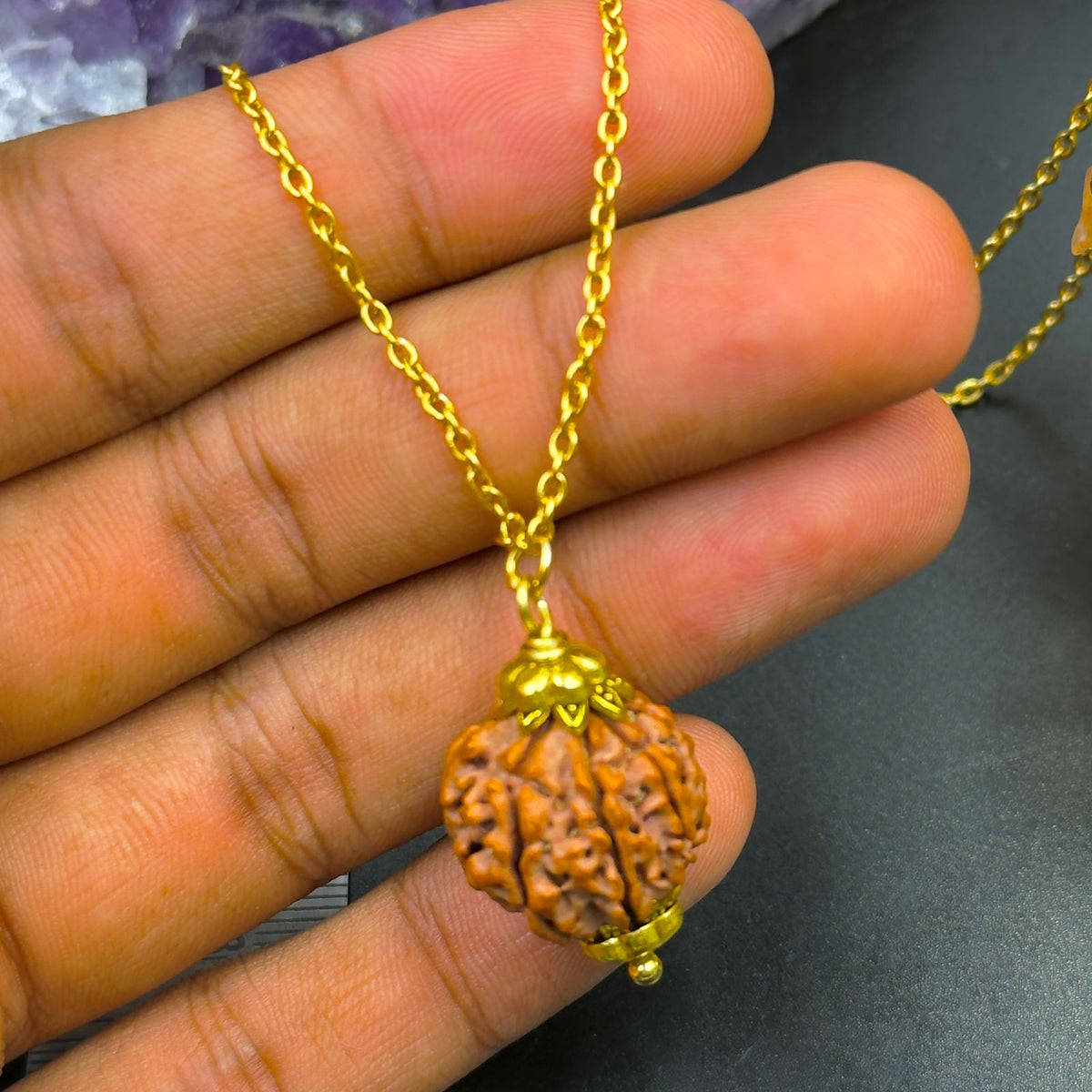 7 Mukhi Nepali Rudraksha with German Silver Capping and 4 Gram (15 Inch) Chain | Gemkrishna