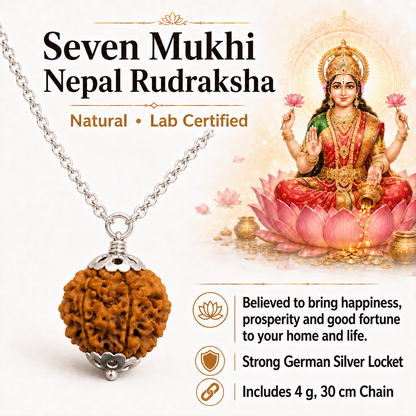 7 Mukhi Nepali Rudraksha with German Silver Capping and 4 Gram (15 Inch) Chain | Gemkrishna
