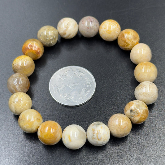 Firewood Fossil Bracelet | Ancient Strength and Warmth | Best Quality | 100% Natural