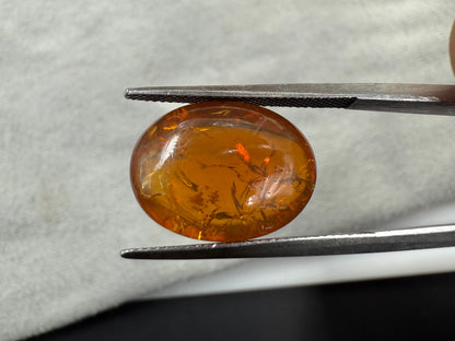 Natural Fire Opal  Oval Cabochon cut  7.48carat  CSFROP17008