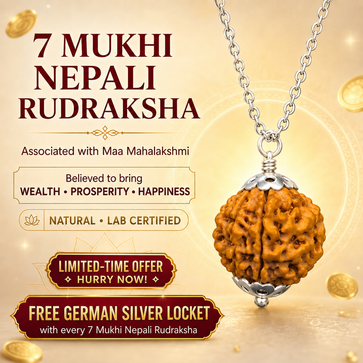 7 Mukhi Nepali Rudraksha with German Silver Capping and 4 Gram (15 Inch) Chain | Gemkrishna