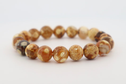 Fossil Opal Bracelet – Timeless Beauty & Ancient Energy