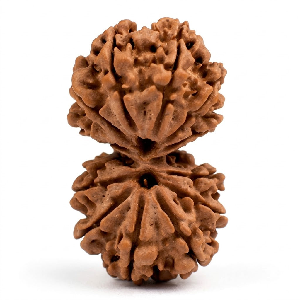 Gauri Shankar Rudraksha – Nepal
