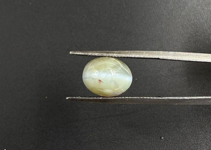 Natural Chrysoberyl Cat's eye  7.54 carat