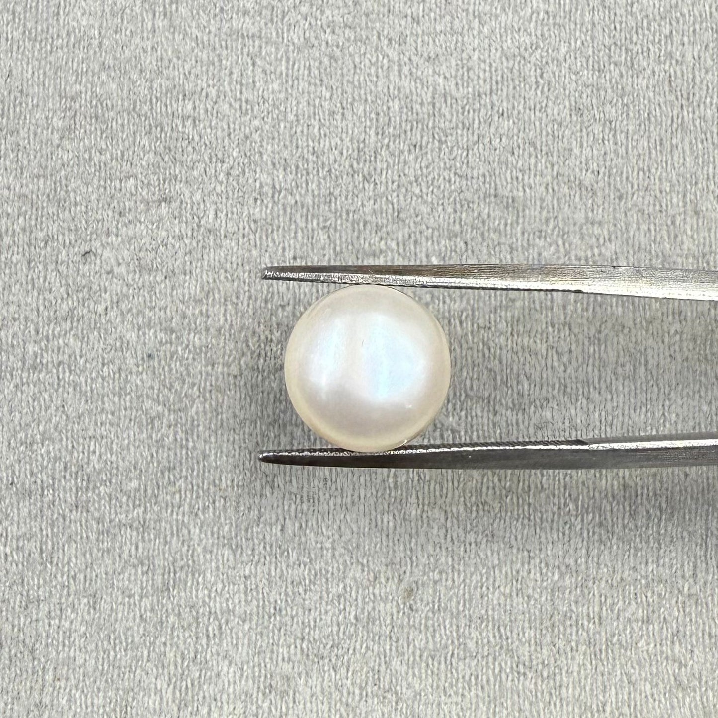 Fresh Water Pearl Round Button  6.73 carat [Cultured pearl]