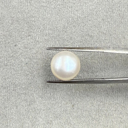 Fresh Water Pearl Round Button  6.73 carat [Cultured pearl]