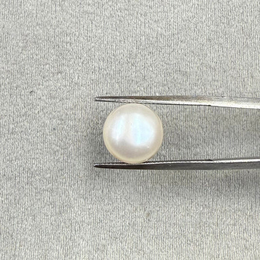 Fresh Water Pearl Round Button  6.73 carat [Cultured pearl]