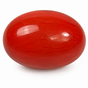 Red Coral