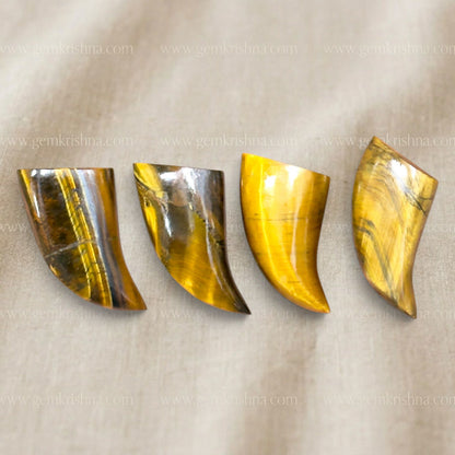 Tiger Eye Claw Nail Stone (Protection and Confidence)