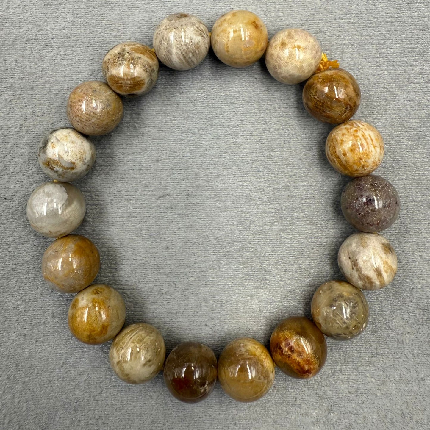 Fossil Coral Bracelet