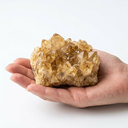 Raw citrine crystal cluster held in an open hand, natural yellow quartz on white