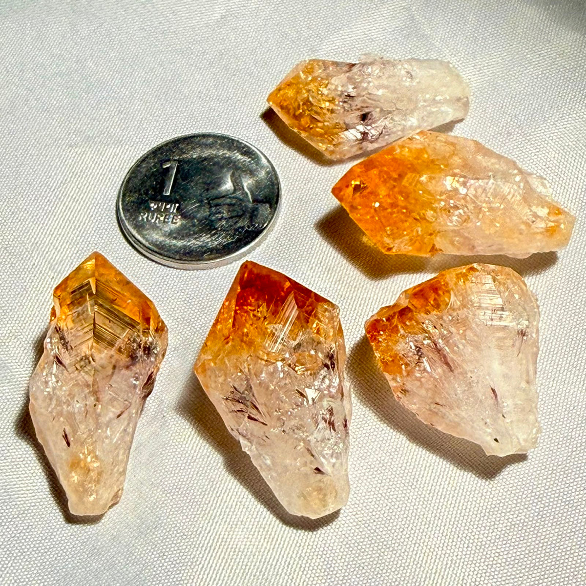 Citrine rough crystal points with golden areas, shown with a penny for scale