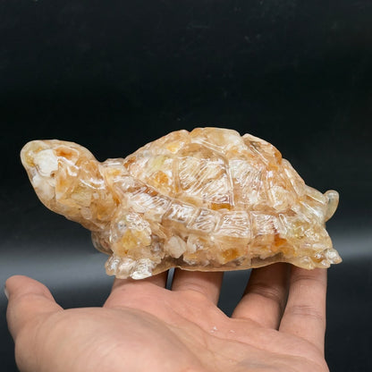 Big Citrine Kachua