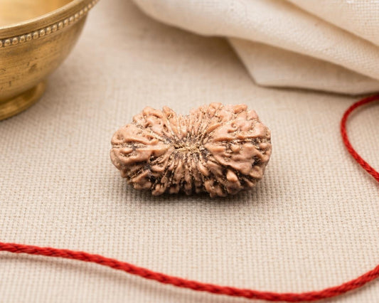 Natural 18 Mukhi rudraksha bead with carved ridges on beige fabric with red cord