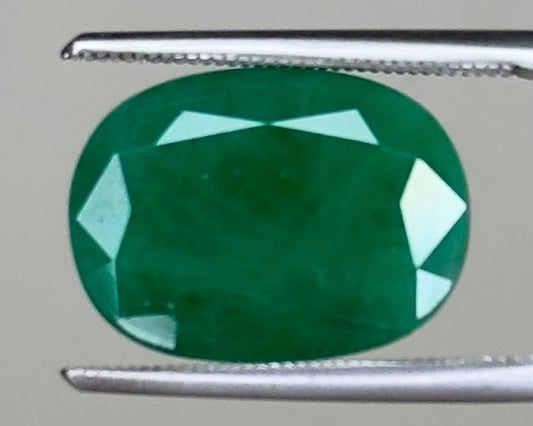 Emerald gemstone oval cut, viewed between metal tweezers on a light background