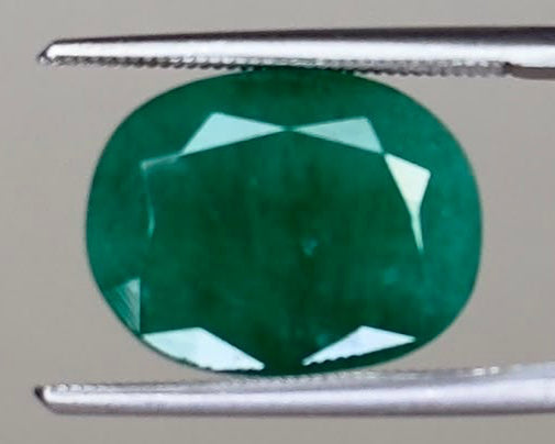 Emerald gemstone oval cut, viewed through tweezers on a light gray background