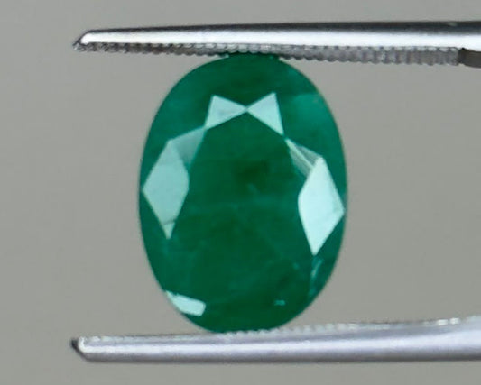 Emerald 5.60 carats oval gemstone shown between two metal tweezers