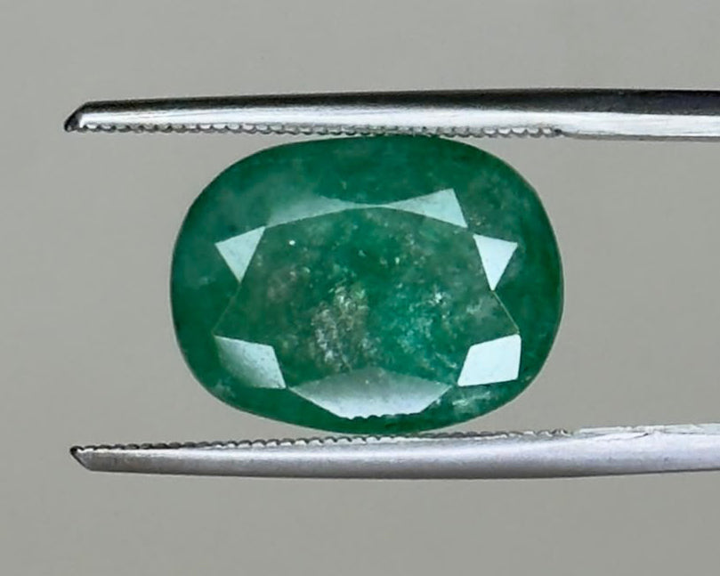 Emerald 5.45-carat oval gemstone close-up between metal tweezers