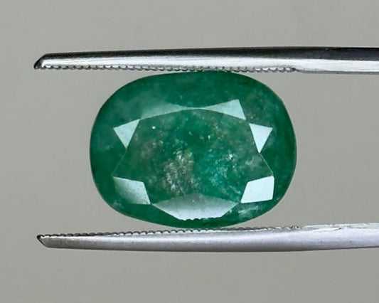 Emerald 5.45-carat oval gemstone close-up between metal tweezers