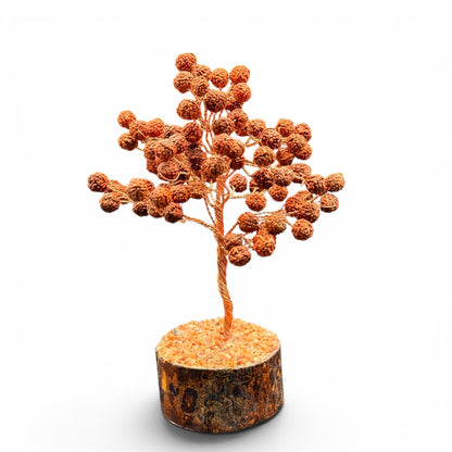 Rudraksha Tree (Peace and Positive Energy)