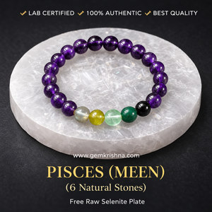 Pisces (Meen) Zodiac Bracelet – 6 Natural Stones: Amethyst, Peridot, Labradorite, Fluorite, Bloodstone & Black Tourmaline – 8mm