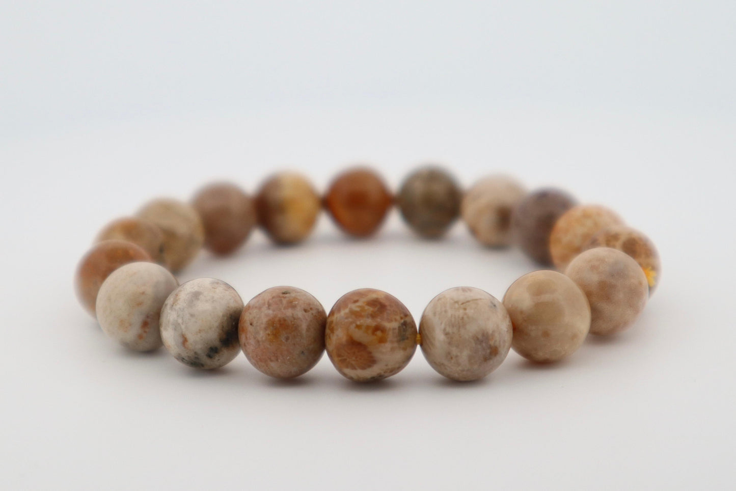 Certified  Fossil Coral Bracelet (emotional Healing And Peace
