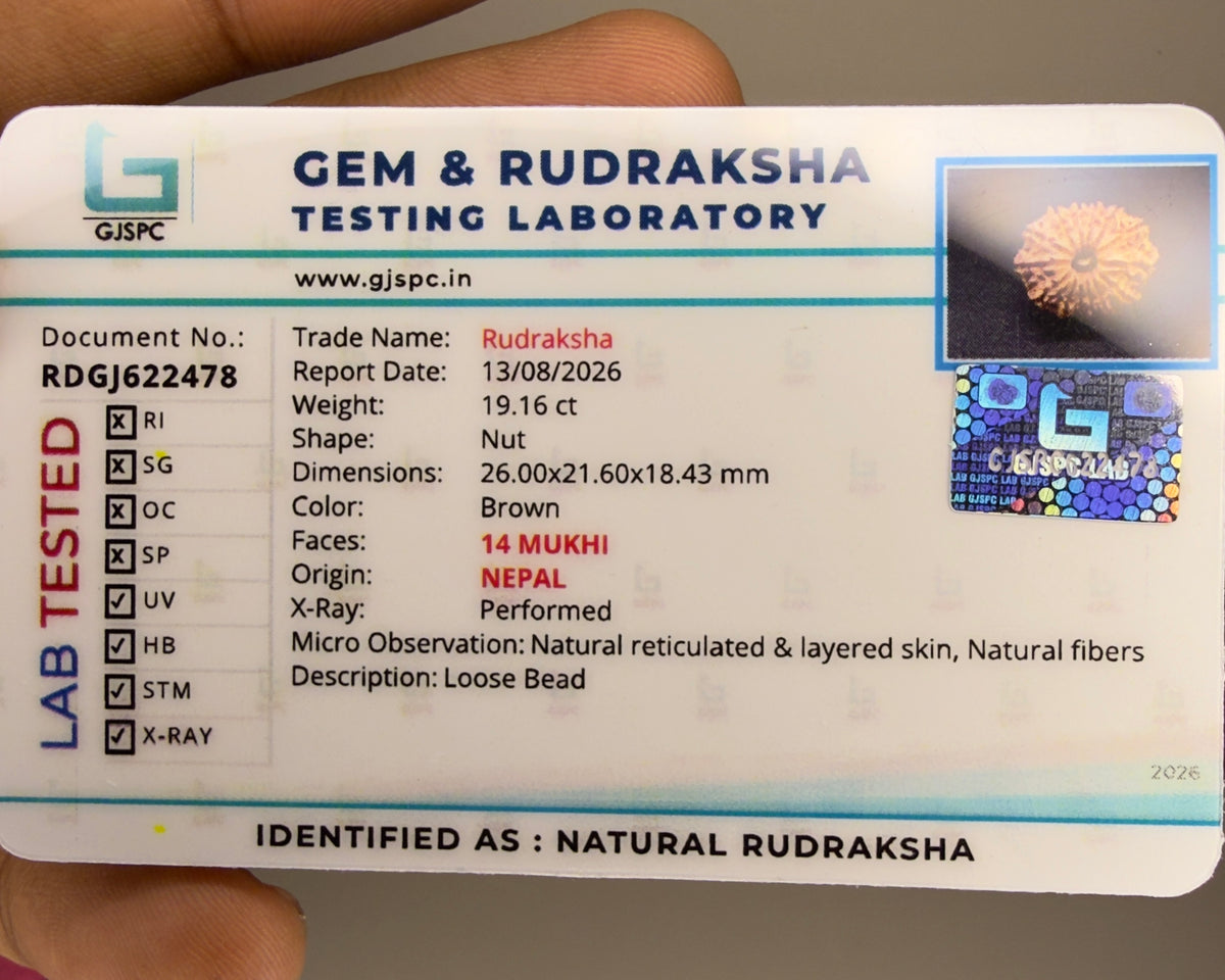 GJSPC laboratory certificate label for natural rudraksha 14 mukhi with Nepal details