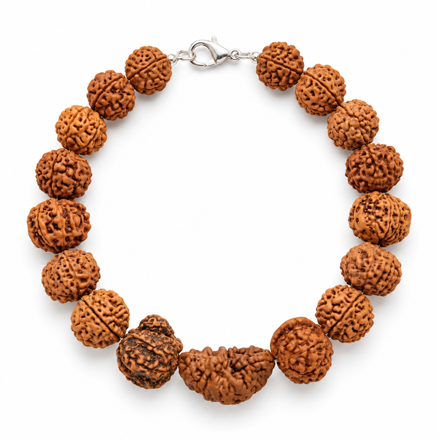 Rudraksha bead bracelet with a silver clasp, on white