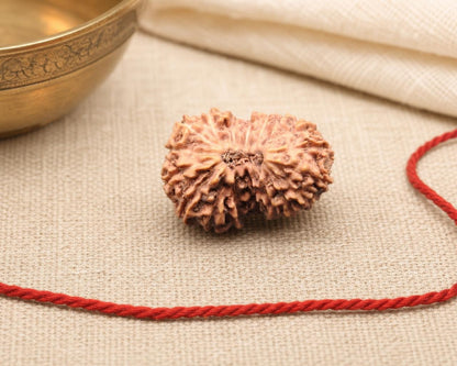19 Mukhi Indonesian natural rudraksha bead with red thread on beige fabric background