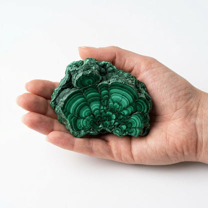 Malachite raw crystal held in a hand showing vivid green concentric banding