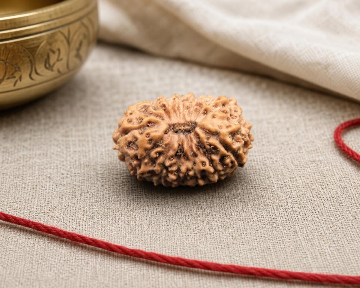 Natural 15 Mukhi Indonesia rudraksha bead with red thread on textured fabric background