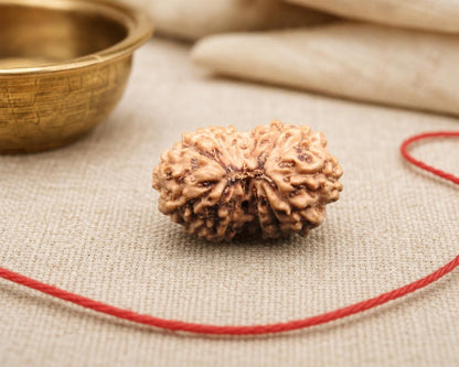 Natural 15 Mukhi rudraksha bead with red thread and close-up detail on woven fabric